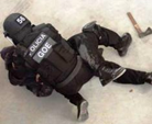 Depois dos piratas, a Polícia Portuguesa encontrou uma praga pior