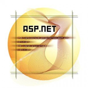 Correcção de falha no ASP.NET