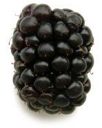 Vídeo: My blackberry doesn´t work